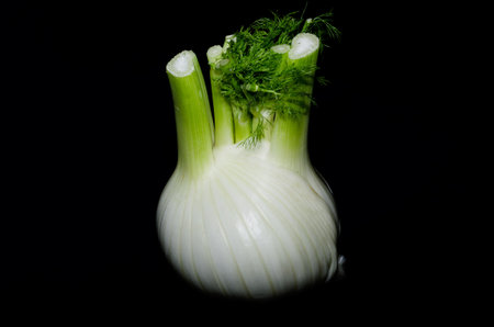 A closeup shot of fresh fennel on a black background - perfect for wallpaperの写真素材
