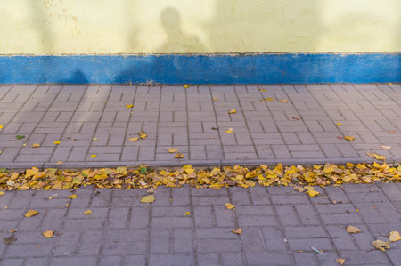 A shot of yellow autumn leaves next to the sidewalk on the street