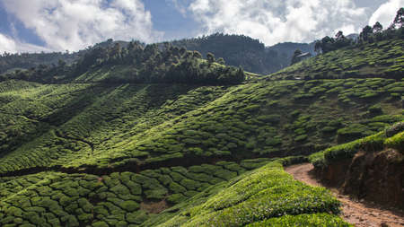 A beautiful landscape view of south India Kerala with bright morning sunlight in the background
