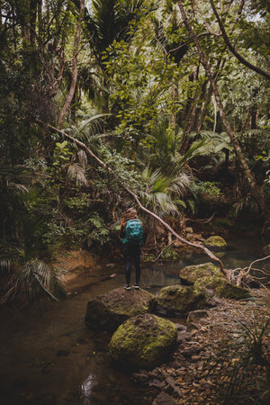 A vertical shot of a girl on the stones of the woods near the Kitekite Falls, New Zealand