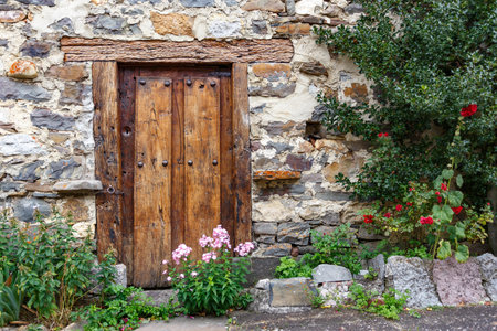 An old wooden door with beautiful flowers background.