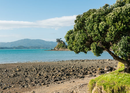 A rocky beach with a thick green-leafed tree by the sea surrounded by high rocky mountainsの写真素材