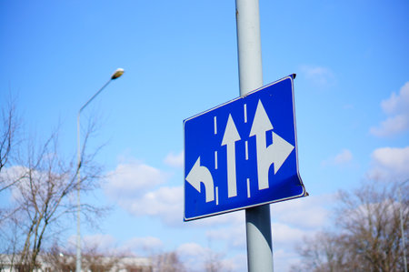 A blue traffic sign with arrows on a pole