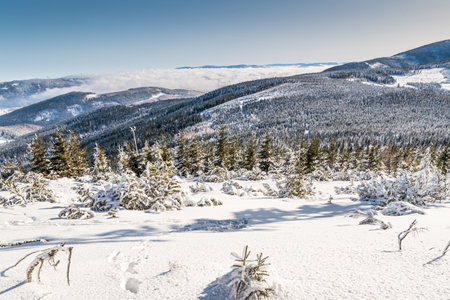 A landscape of hills covered in the snow and forests under the sunlight at daytime