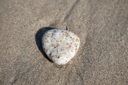 A closeup of a stone on the sand under the sunlight in a beach in Mexico