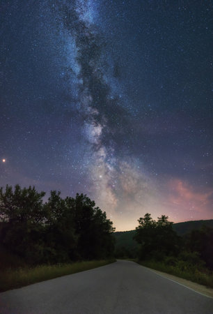 A breathtaking scenery of an empty road surrounded by beautiful green trees under the Milky Way...