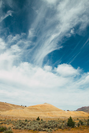 A vertical shot of grass and moss growing on a field under a clouded skyの写真素材