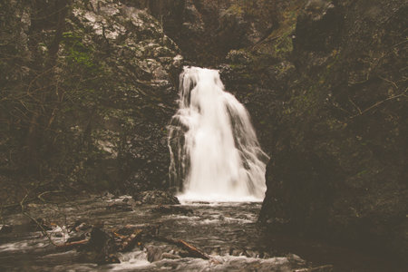 A waterfall coming down a cliff surrounded by several treesの写真素材