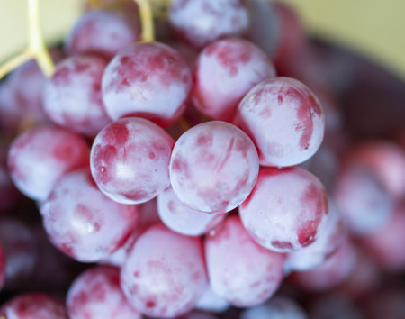 A closeup shot of freshly picked ripe red grapes in a bowl