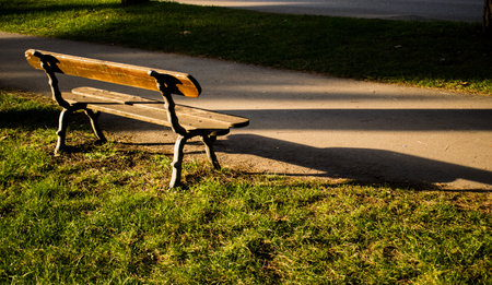 An empty wooden bench in a park during daytimeの写真素材