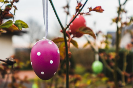 Three easter eggs hanging in a tree with a nice blurry backgroundの写真素材