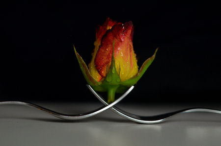 the rose perched on top of the spikes of the fork vertical standing