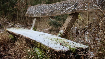 A closeup of an old wooden bench covered in mosses in a field under the sunlightの写真素材
