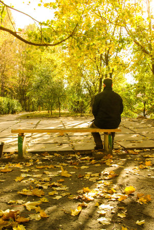 A vertical shot of a man sitting on the bench with beautiful trees in the park at daytime