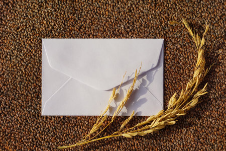 A white envelope with dried grass for greeting mockup seasonal concepts on a wool fabric backgroundの写真素材