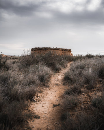 a vertical shot of a road in a desert area with mountains in the backgroundの写真素材