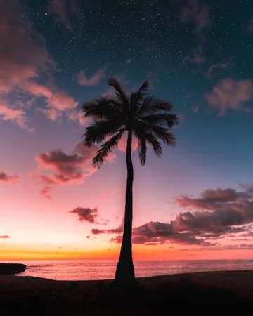 A silhouette of a palm tree under a galaxy sky at sunset - great for a backgroundの写真素材