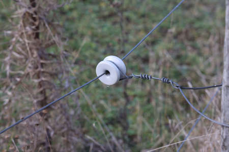 A closeup shot of an electrical wire fence around a pasture