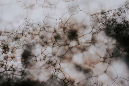 A selective focus shot of soap bubbles - perfect for backgrounds and wallpapersの写真素材