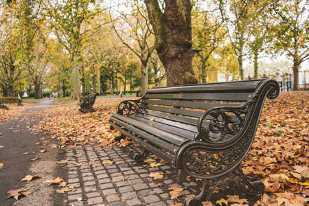 A bench in a park covered in trees and leaves under the sunlight in autumnの写真素材