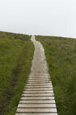 path built on the grassの写真素材