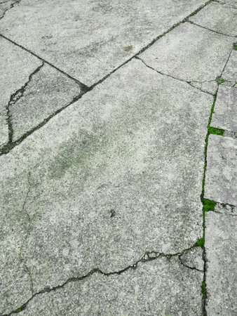 A vertical closeup shot of grass growing through the concrete groundの写真素材
