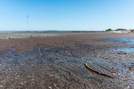 A shot of the low tide shore in Cais PalafÃ­tico da Carrasqueira, Portugal