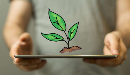 Minimal nature concept.Think Green.Ecology Concept. Environmentally friendly planet.の写真素材