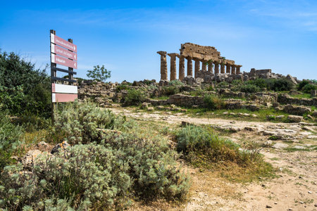 The ruins of the Temple of Apollo building in the Selinunte Archeological park in Sicily, Italyの写真素材