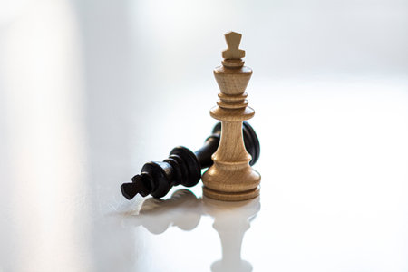 brown and black chess piece on white background with reflection. black chess piece is fallen.の写真素材
