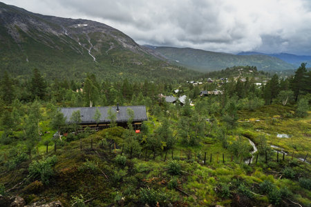 A beautiful natural landscape of Hordaland county viewed from the Oslo-Bergen train in Norway
