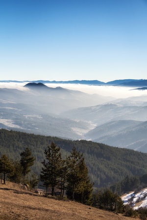 A vertical shot of forested mountain in the clouds under a blue skyの写真素材