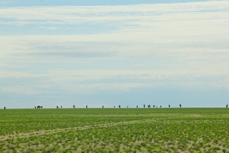 A wide angle shot of several people standing on a green landscapeの写真素材