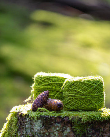 Two green skeins of wool yarn together with cones on a stump in the forest. Use to knit a homemade garment.  Blurred background with copy space.の写真素材