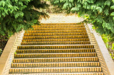 The old stone stairs and fresh green trees in the garden