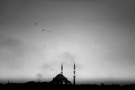 A view from the Bosphoreの写真素材