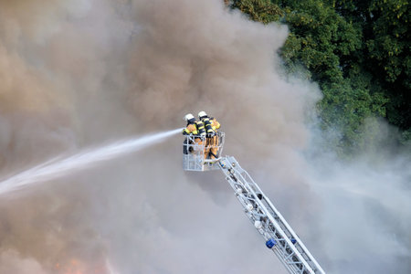 The two firefighters trying to stop the fire in the forest surrounded by smokeの写真素材