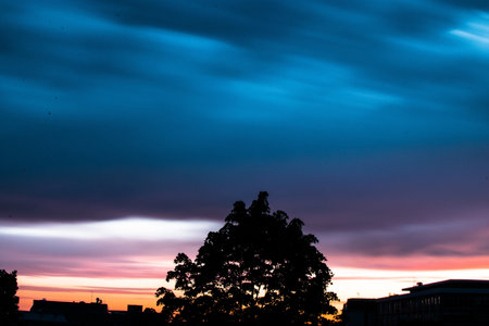 A silhouette of a tree and buildings under the beautiful colorful sunset sky