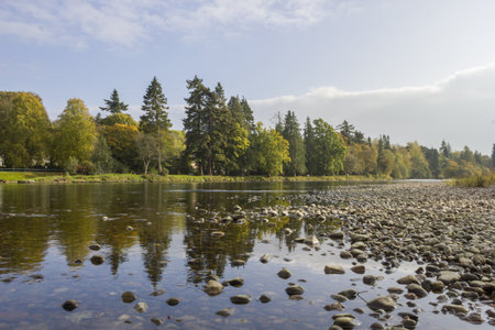 landscape of a river with little flow, you can see large round stones in the middle, in the distance the trees, sunny day with cloudsの写真素材
