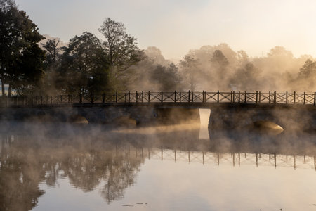 A concrete arch bridge over a lake surrounded by trees covered with fogの写真素材