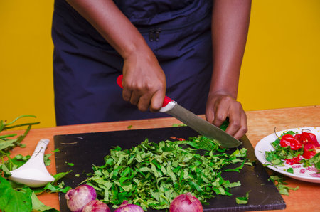 An African-American female cutting vegetables during a cooking show on yellow backgroundの写真素材