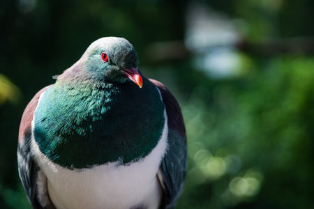 A closeup shot of a beautiful unique bird sitting under the tropical leaves