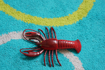 An overhead shot of the red lobster toy on the blue surface