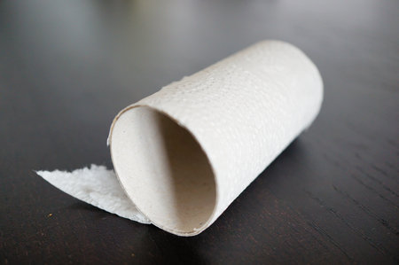 A finished toilet paper roll on the ground