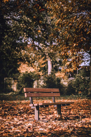 A vertical shot of a wooden bench in a park with a lot of dry autumn leaves on the groundの写真素材