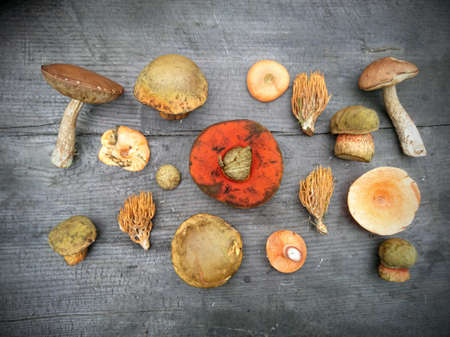 A high angle shot of different dry mushrooms on a wooden surface