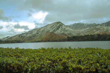 A scenic mountain beside a lake under  a cloudy sky with bushes in the foregroundの写真素材