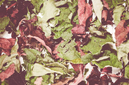 A closeup shot of fallen autumn leaves on the groundの写真素材