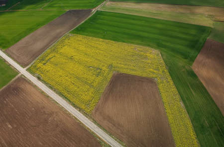 Aerial shot of crop files with straight lines, with teo roads crossing the scene