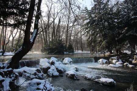 A pond surrounded by trees covered in the snow under the sunlight at daytime
